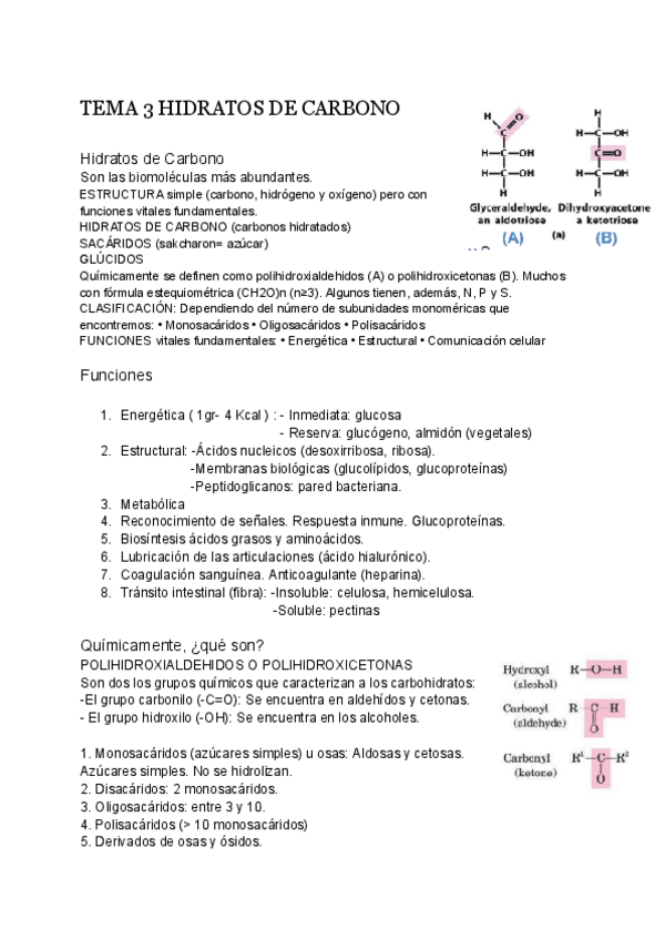 Miniatura del documento Tema-3-Estructura-de-los-hidratos.pdf