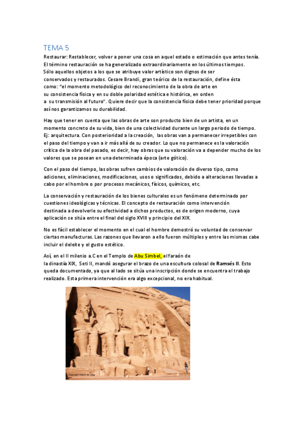 Miniatura del documento TEMA-5-historico.pdf