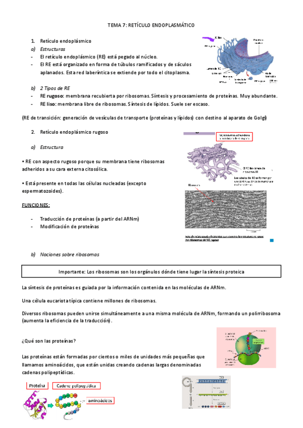 Miniatura del documento T7BILOGIA.pdf