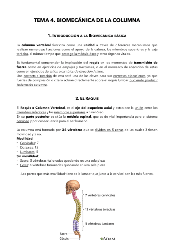 Miniatura del documento Tema-4.pdf