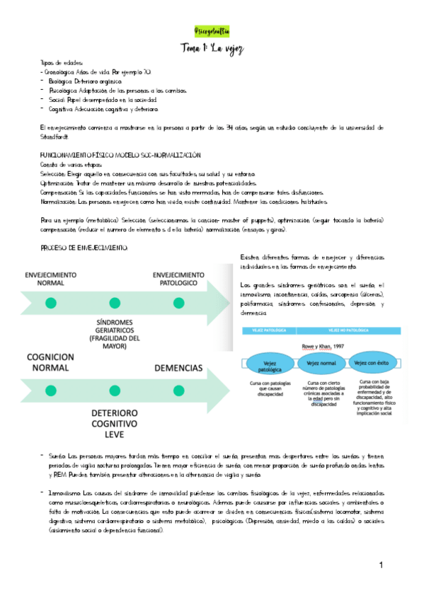 Miniatura del documento psicogereatria-temas-123.pdf