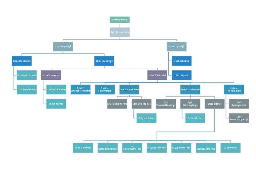 Miniatura del documento CLASIFICACION-OSTEICTIOS.pdf