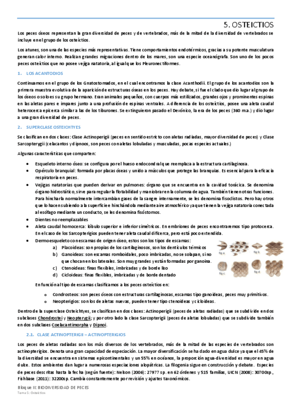 Miniatura del documento Tema-5-OSTEICTIOS.pdf
