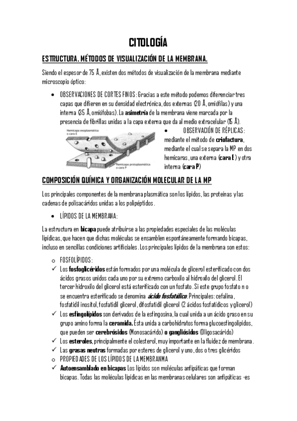 Miniatura del documento 2.1. resumido.pdf
