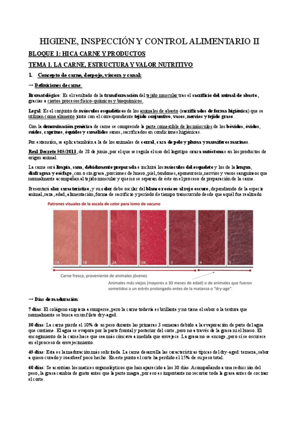 Miniatura del documento Bloque-1-Carne-y-productos.pdf