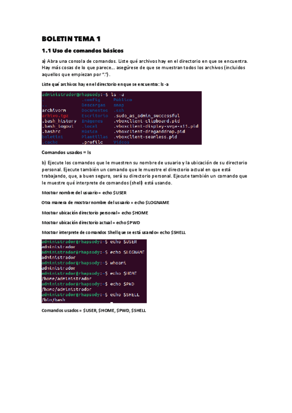 Miniatura del documento BOLETIN-TEMA-1-HASTA-EL-PUNTO-1.6organized.pdf