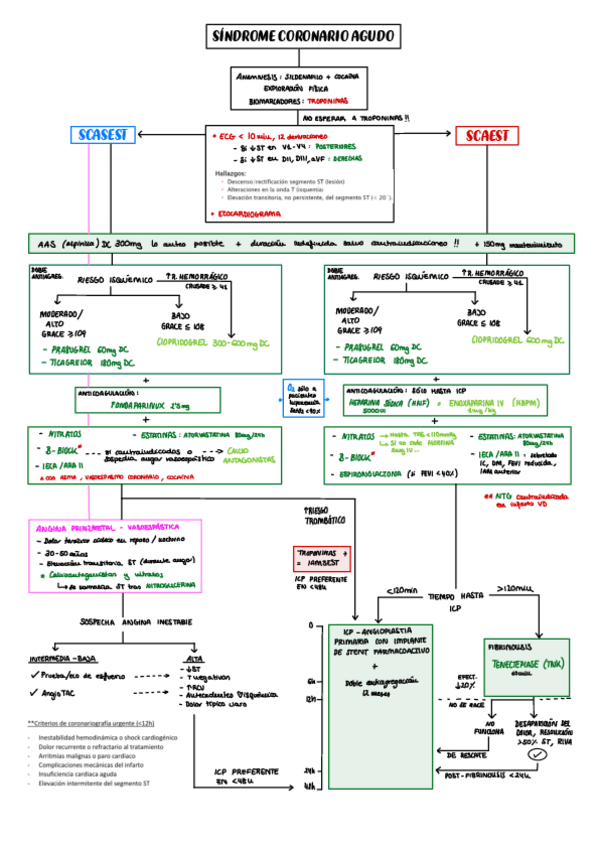 Miniatura del documento CARDIOTRATAMIENTO-SCA-ESQUEMA.pdf