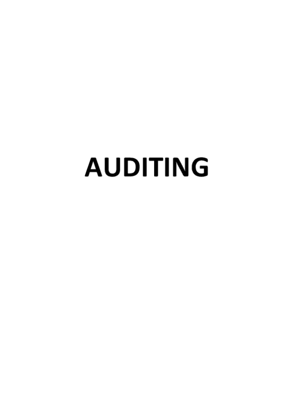 Miniatura del documento Auditing.pdf