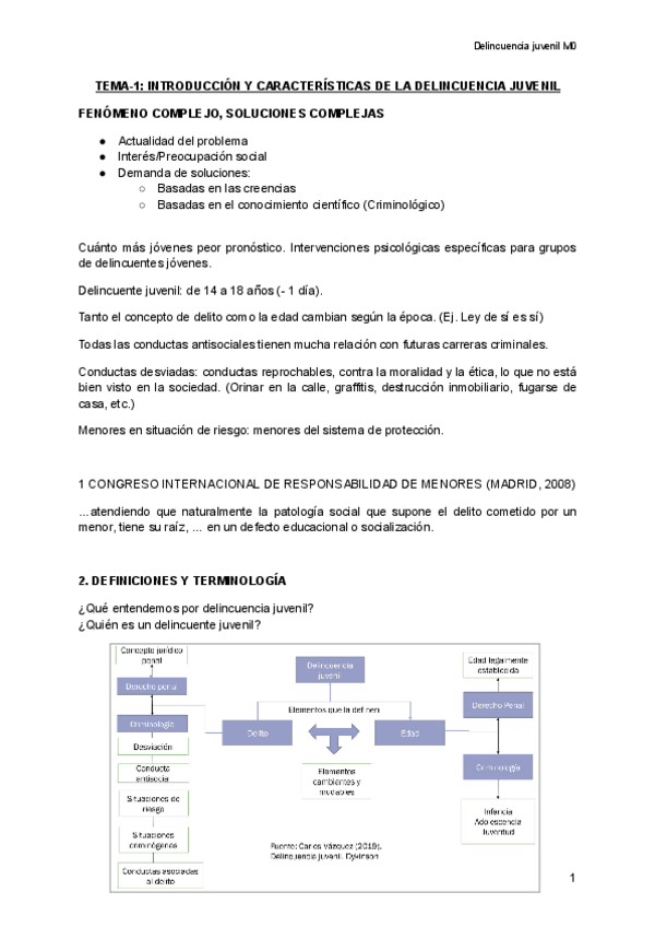 Miniatura del documento DELINCUENCIA-JUVENIL. TEMAS 1-4.pdf