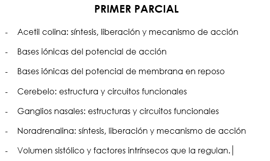 Miniatura del documento primer parcial.PNG