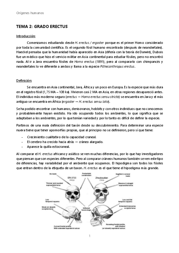 Miniatura del documento OH-tema-2-Grado erectus.pdf