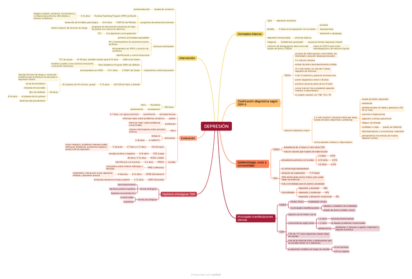 Miniatura del documento mapa-mental-tema-5-infantil-DEPRESION.pdf