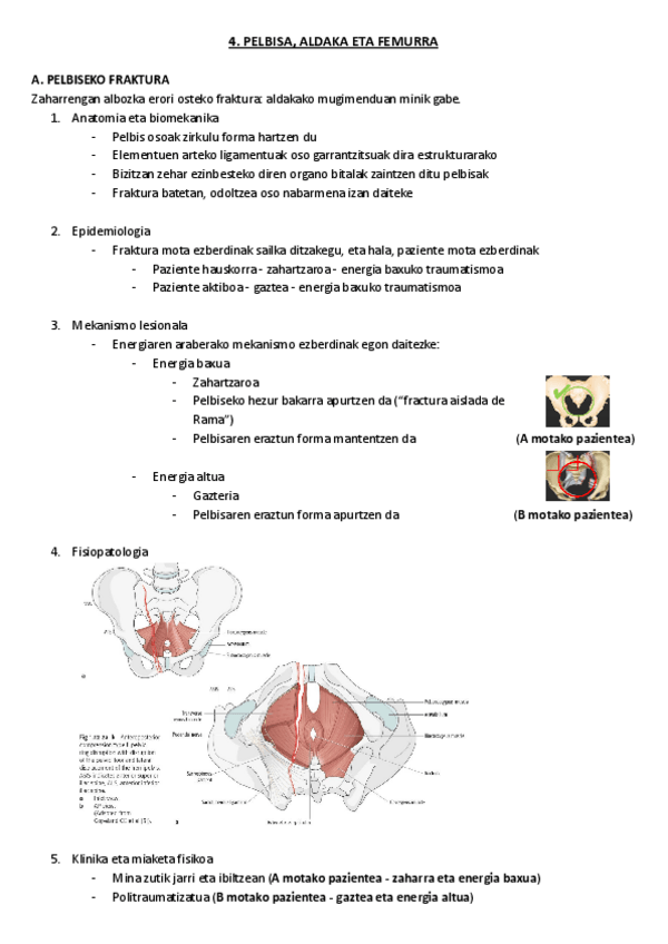 Miniatura del documento 4.-Pelbisa-aldaka-eta-femurra.pdf