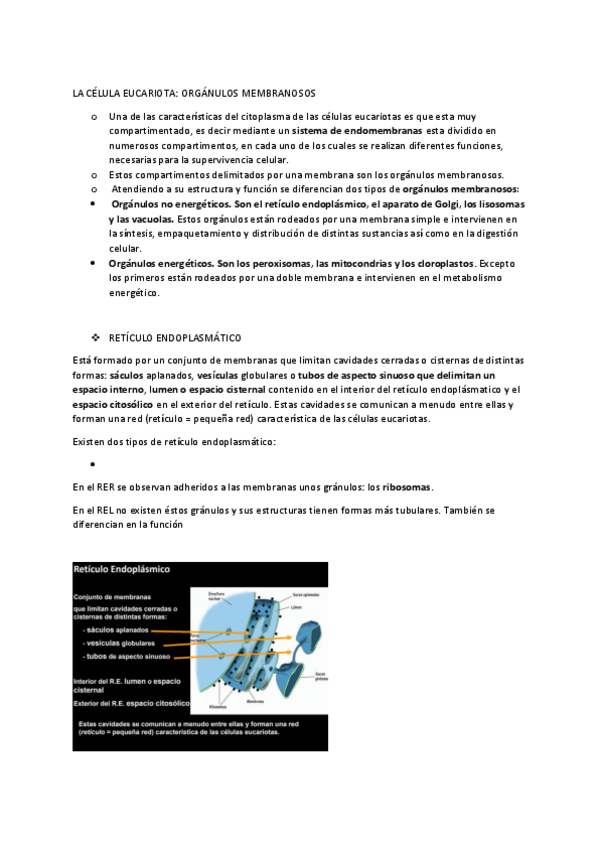 Miniatura del documento LA-CELULA-EUCARIOTA-ORGANULOS-MEMBRANOSOS.pdf