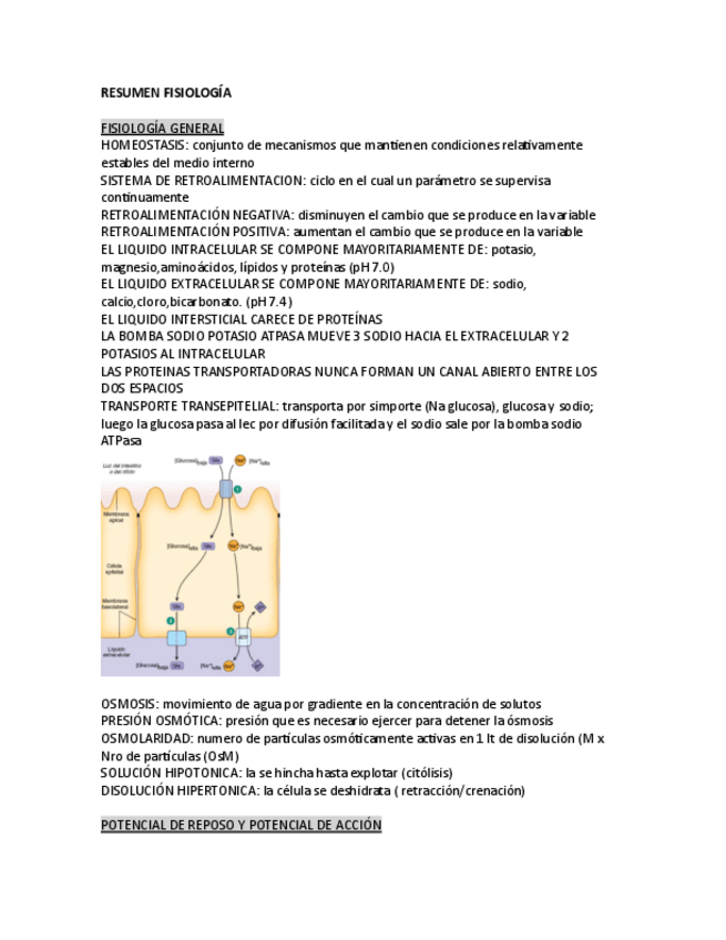 Miniatura del documento APUNTES-1er-PARCIAL-FISIOLOGIA.pdf