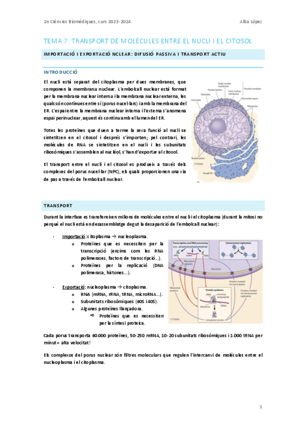 Miniatura del documento Tema-7.-Transport-de-molecules-entre-el-nucli-i-el-citosol.pdf