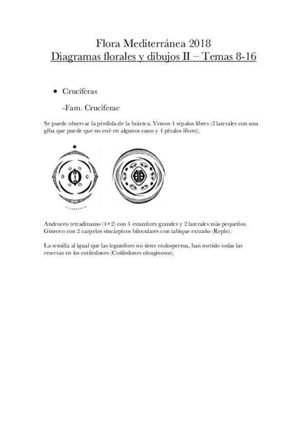 Miniatura del documento Flora Mediterránea 2018 II.pdf