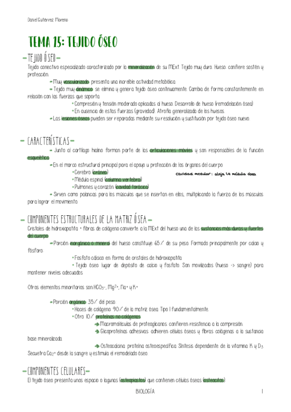 Miniatura del documento TEMA-15-BIOLOGIA.pdf