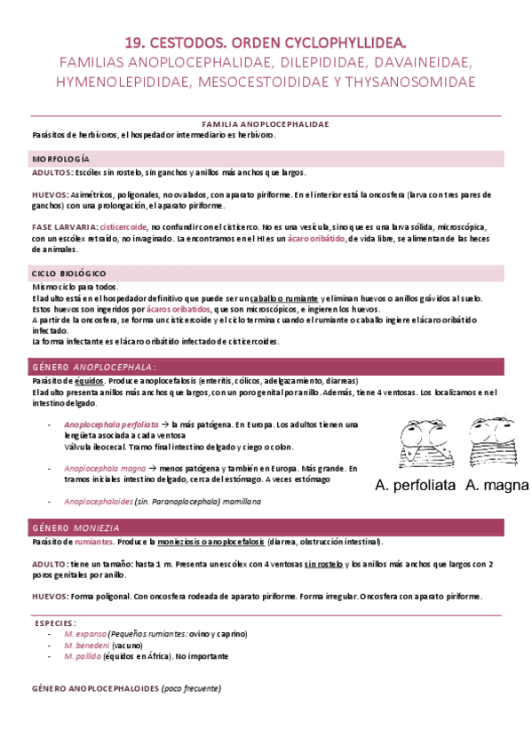 Miniatura del documento 19. Orden Cyclophyllidea. Resto de familias.pdf