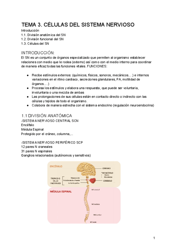 Miniatura del documento Fisiologia-y-Tecnicas-de-labora.pdf