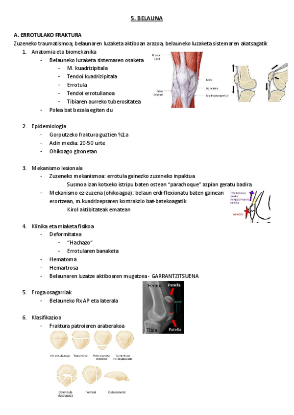 Miniatura del documento 5.-Belauna.pdf