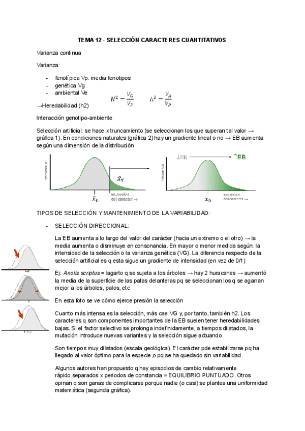 Miniatura del documento TEMA-12-SELECCION-CARACTERES-CUANTITATIVOS.pdf