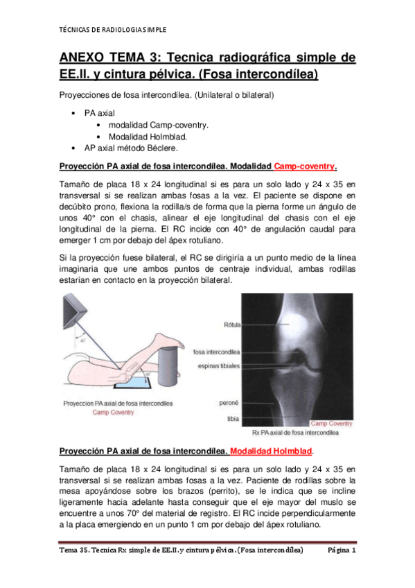 Miniatura del documento ANEXO-TEMA-3-RODILLA-Fosa-intercondilea.pdf