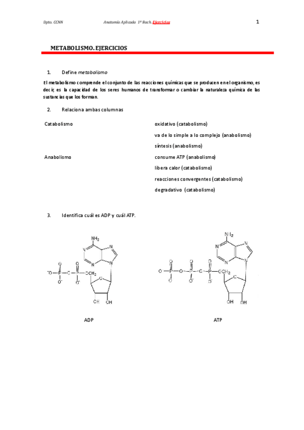 Miniatura del documento METABOLISMO SOLUCIONES (Ana Molina).pdf