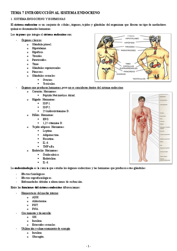 Miniatura del documento FISIOLOGIA-II-TEMA-7-INTRODUCCION-AL-SISTEMA-ENDOCRINO.pdf