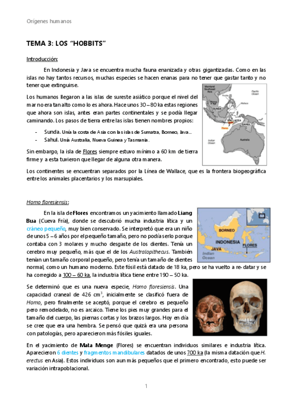 Miniatura del documento OH-Tema-3-Los-Hobbits.pdf