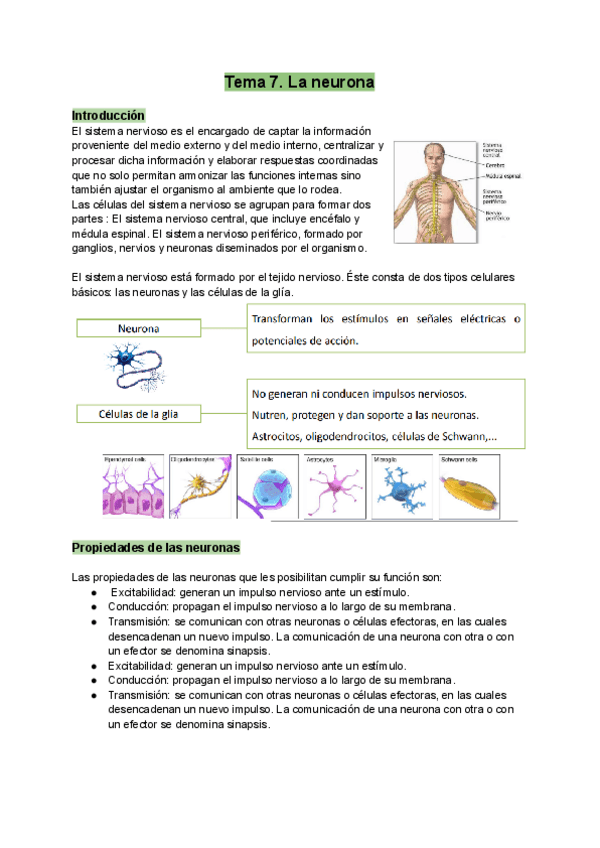 Miniatura del documento Biologia-Tema-7.pdf