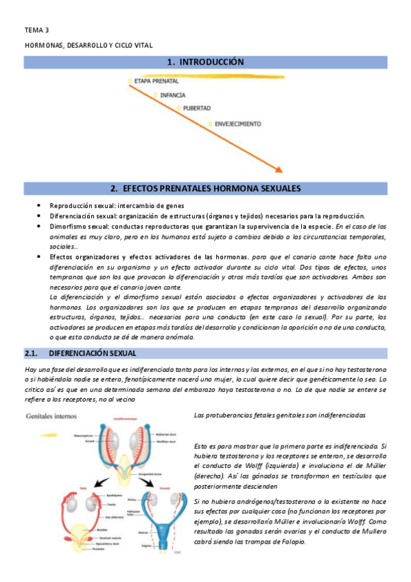 Miniatura del documento 3.-HORMONAS-DESARROLLO-Y-CICLO-VITAL.pdf