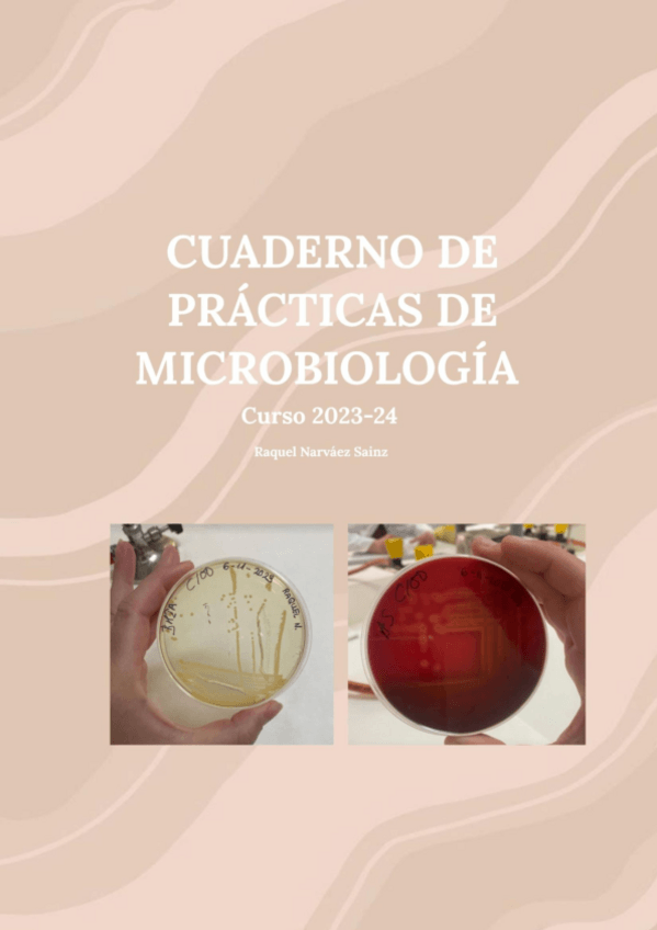 Miniatura del documento CUADERNO-DE-PRACTICAS-DE-MICROBIOLOGIA.pdf
