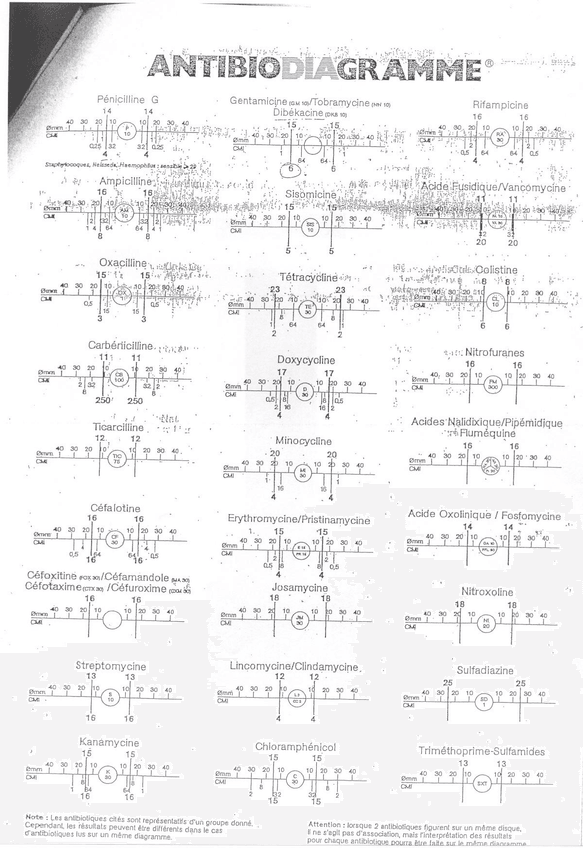 Miniatura del documento Halosdeinhibicionantibioticos.jpg