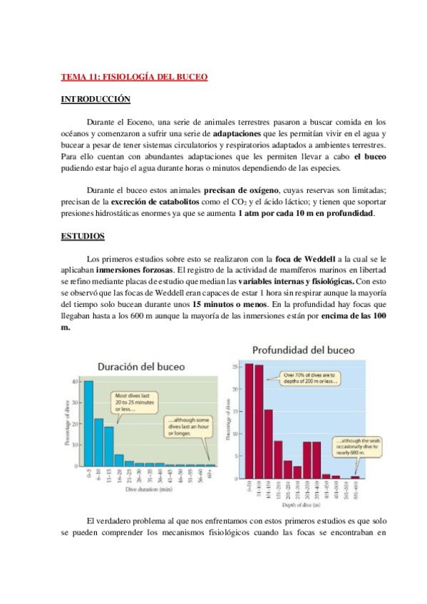 Miniatura del documento AP-FISIO-ANIMAL-COMPARADA-TEMA-11-WH.pdf