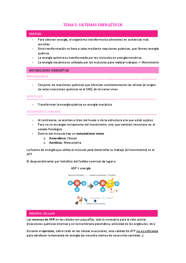 Miniatura del documento TEMA-5.pdf
