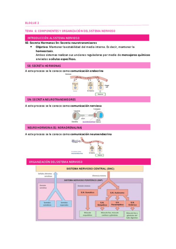 Miniatura del documento TEMA-6.pdf