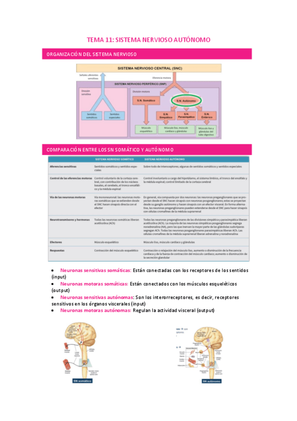 Miniatura del documento TEMA-11.pdf