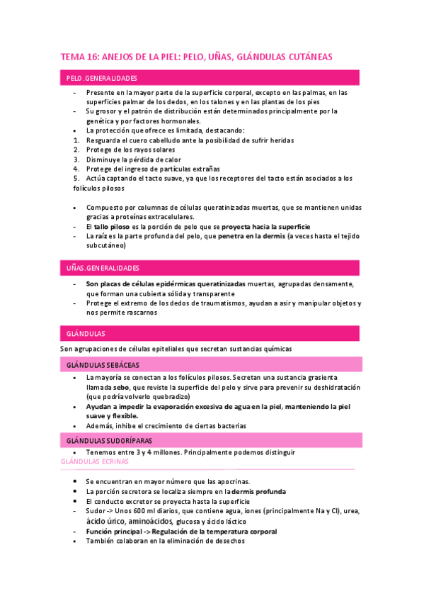 Miniatura del documento TEMA-16.pdf