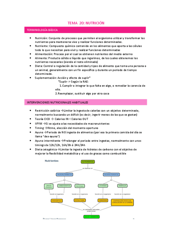 Miniatura del documento TEMA-20.pdf