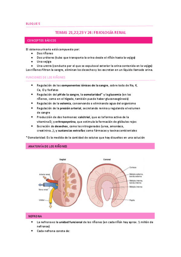 Miniatura del documento TEMAS-212223-Y-24.pdf