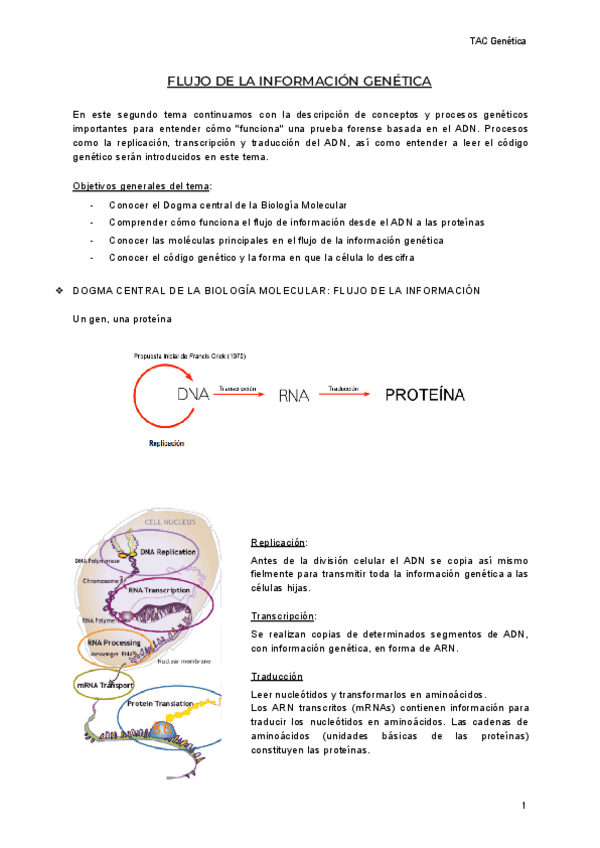 Miniatura del documento T2-genetica.pdf