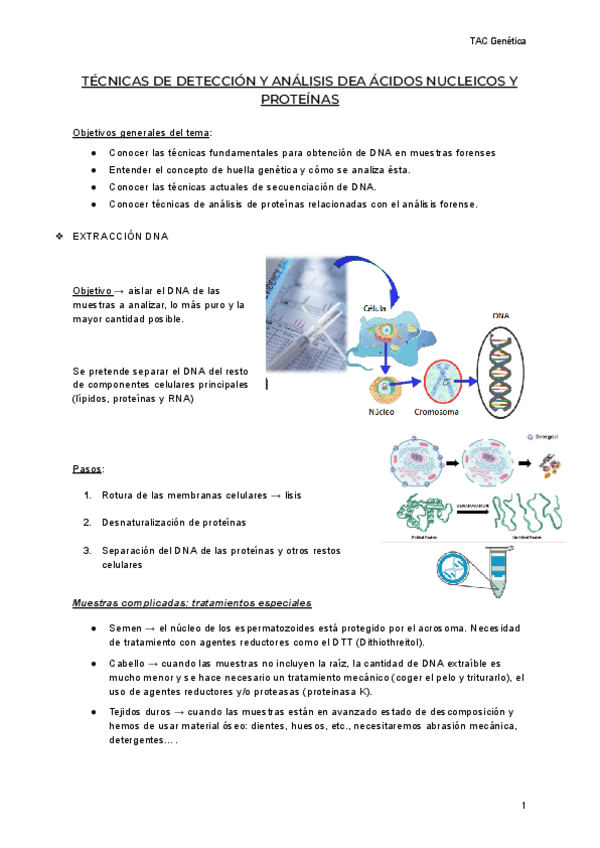 Miniatura del documento T6-GENETICA.pdf