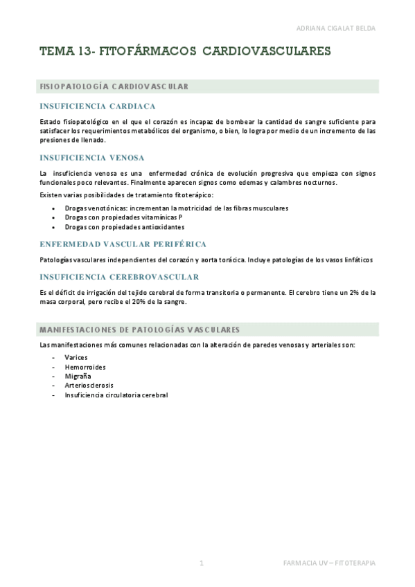 Miniatura del documento TEMA-13-APUNTES.pdf