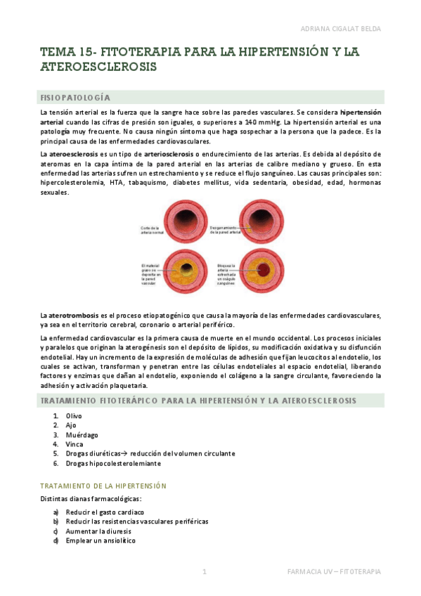 Miniatura del documento TEMA-15-APUNTES.pdf