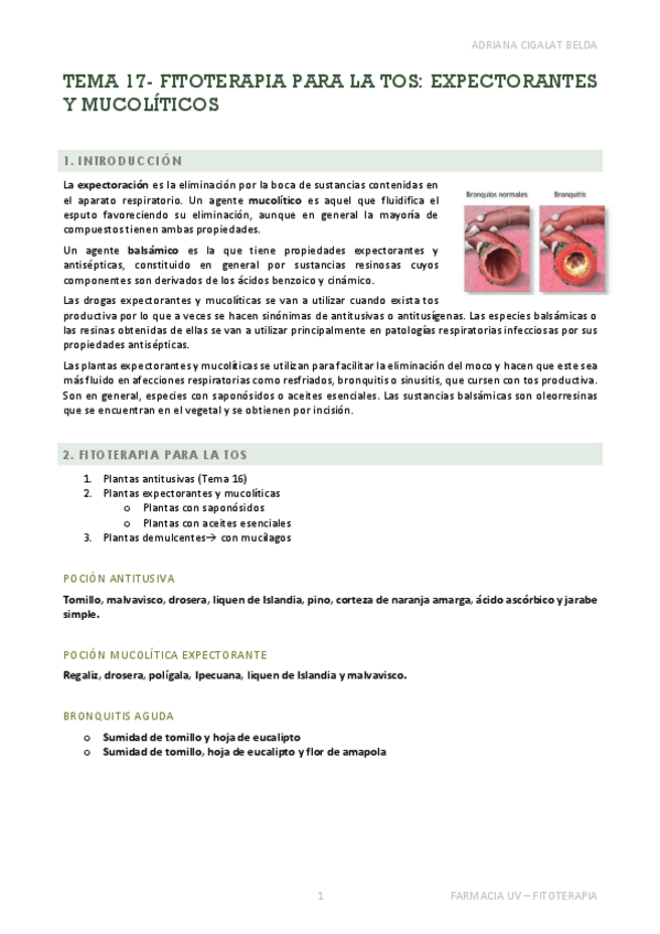 Miniatura del documento TEMA-17-APUNTES.pdf
