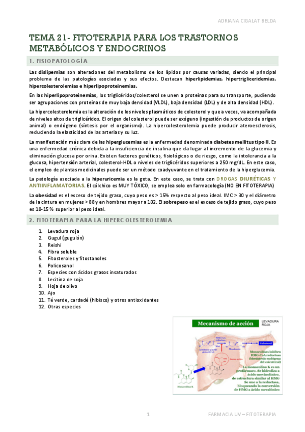 Miniatura del documento TEMA-21-APUNTES.pdf