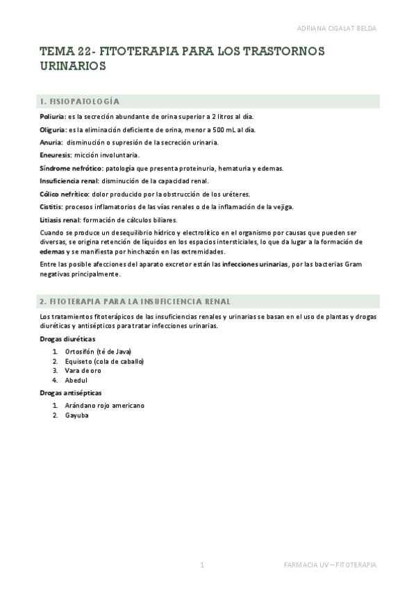 Miniatura del documento TEMA-22-APUNTES.pdf