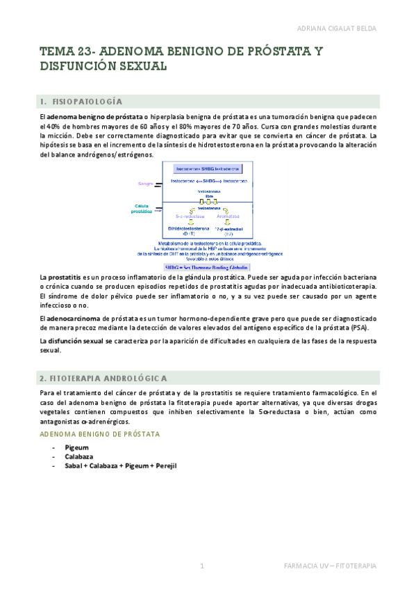 Miniatura del documento TEMA-23-APUNTES.pdf