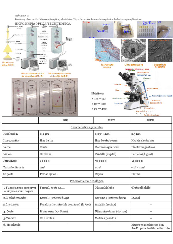 Miniatura del documento prac1.pdf